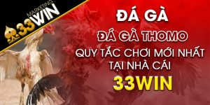 Đá gà Thomo tại Nhà cái uy tín 33win Quy tắc chơi mới nhất