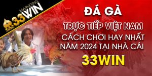 Đá gà trực tiếp Việt Nam Cách chơi hay nhất năm 2024